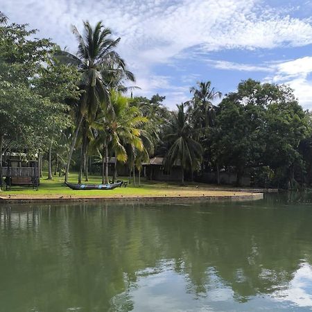 Yonan River Face Safari Resort ウダワラウェ エクステリア 写真