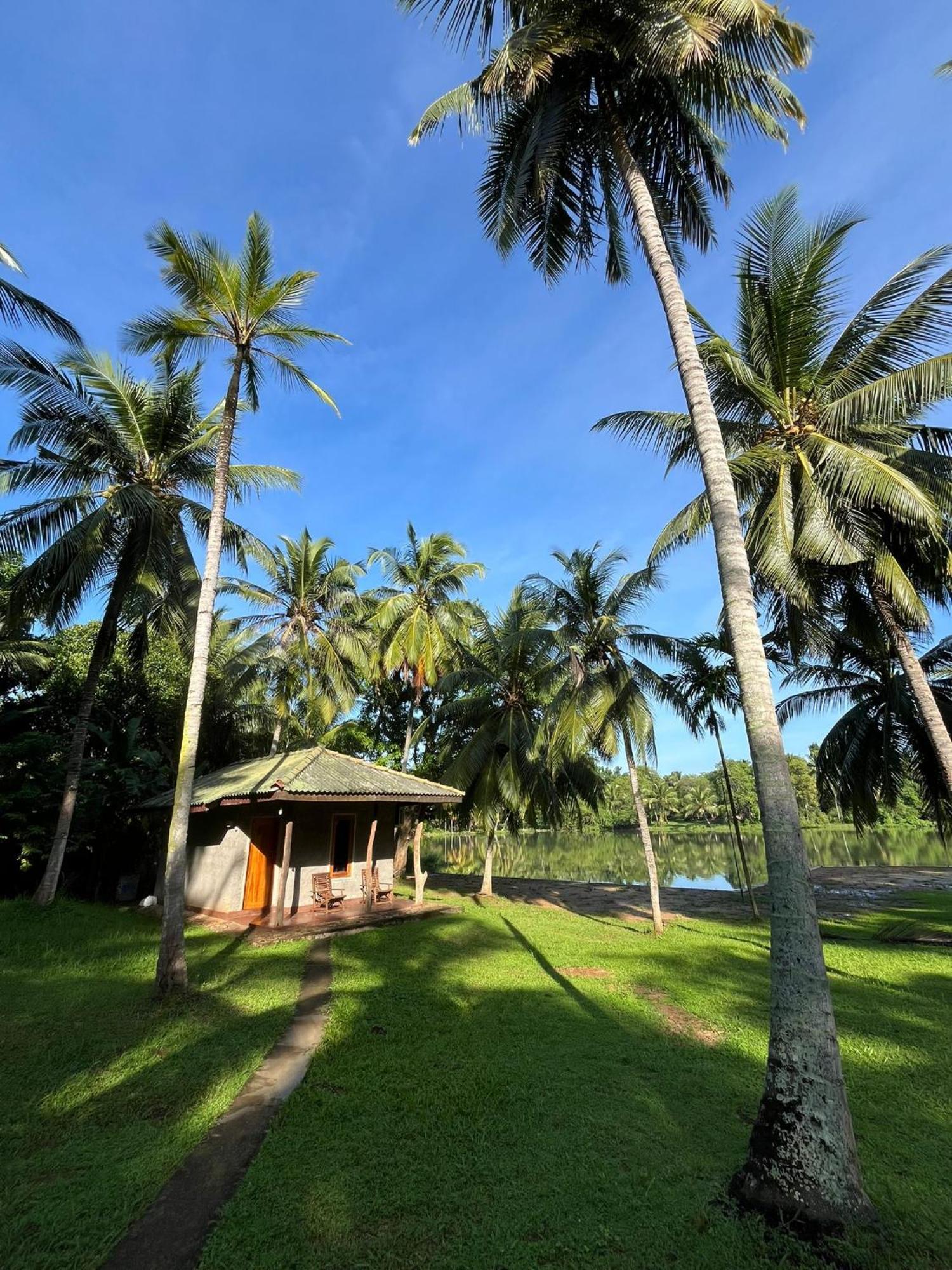 Yonan River Face Safari Resort ウダワラウェ エクステリア 写真